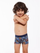 Bokserki YOUNG PRINT 700/135
