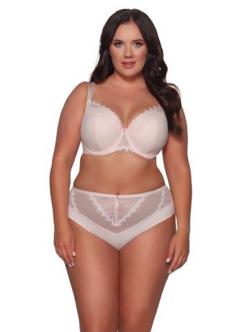 Briefs 2078 PPI Briefs 2078 PPI