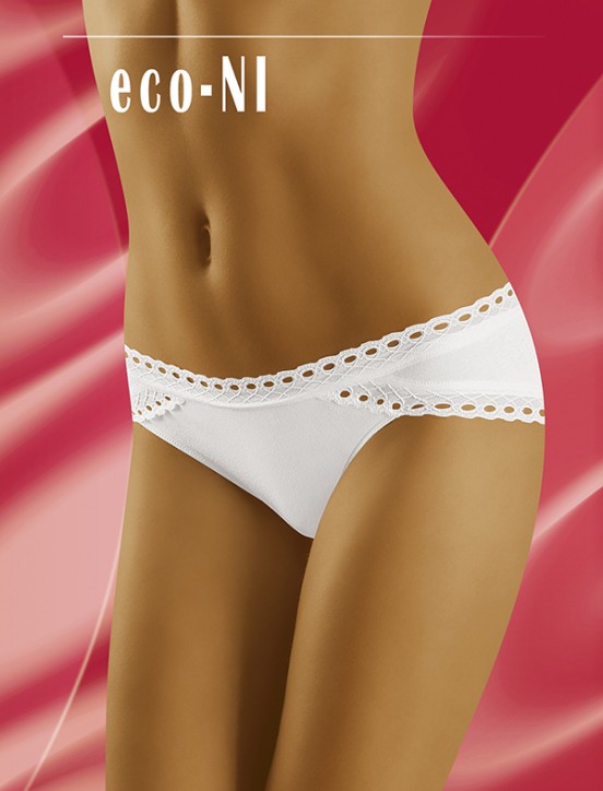 ECO NI briefs - 2