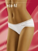 ECO NI briefs - 2